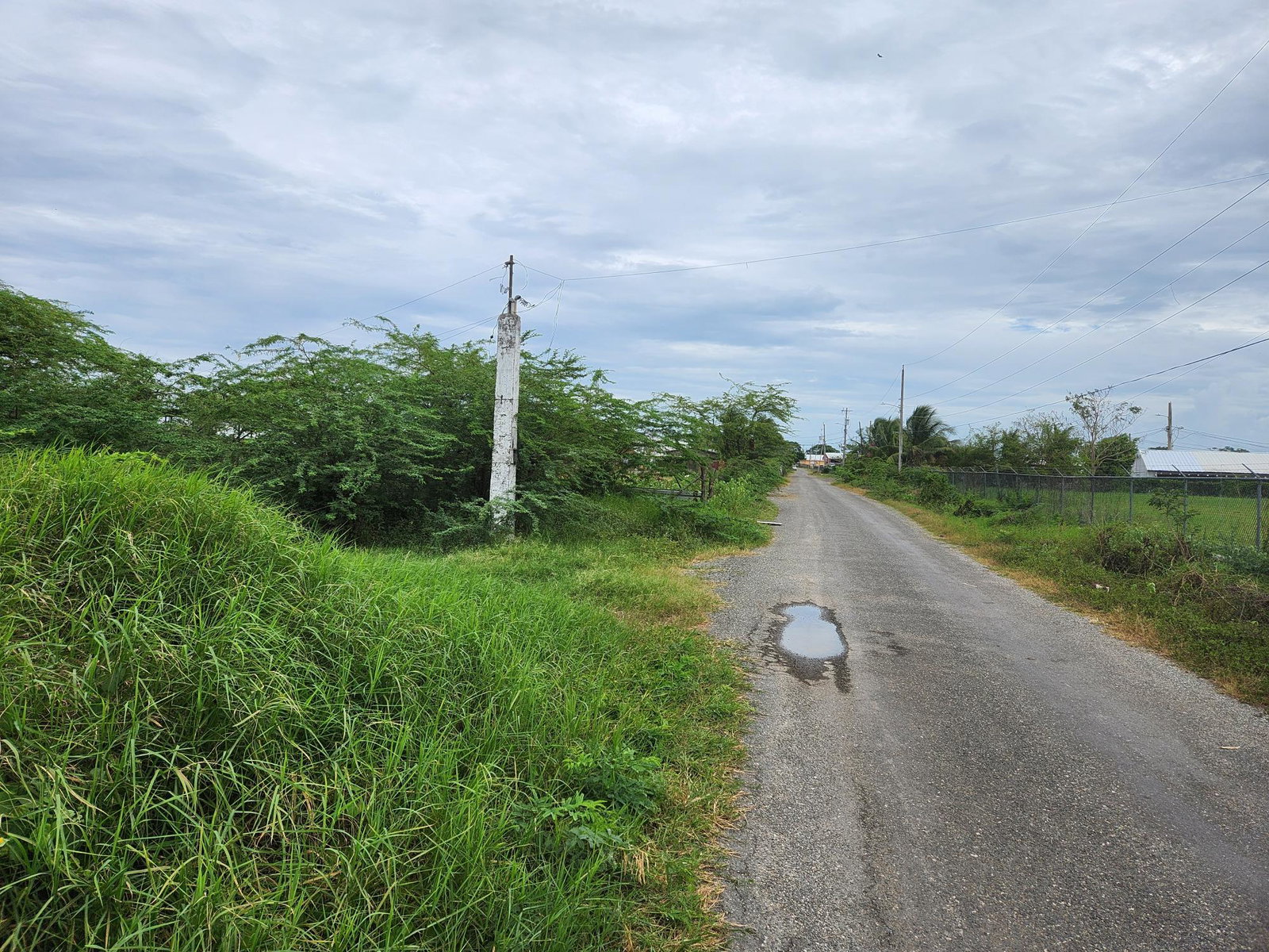 Third image of Lot 62 Bushy Park in Bushy Park, St. Catherine, Jamaica - property is For Sale