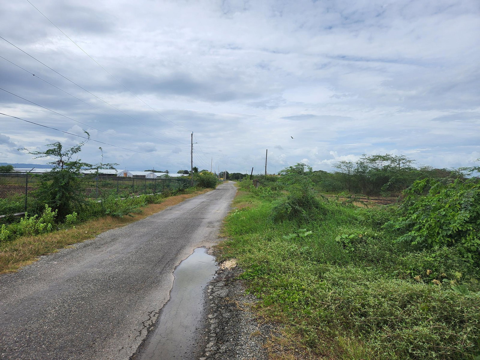 Fourth image of Lot 62 Bushy Park in Bushy Park, St. Catherine, Jamaica - property is For Sale