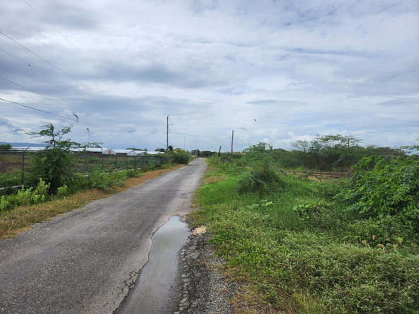 Fourth image of Lot 62 Bushy Park in Bushy Park, St. Catherine, Jamaica - property is For Sale