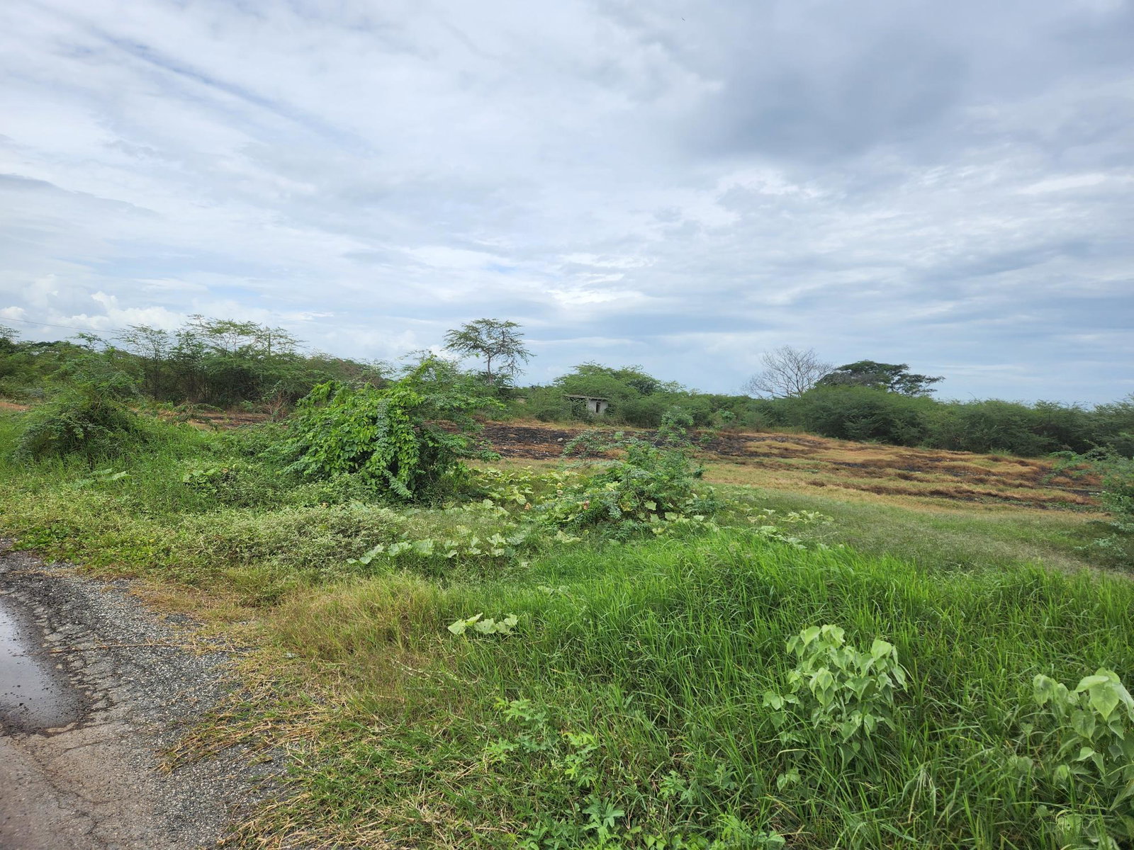 Fifth image of Lot 62 Bushy Park in Bushy Park, St. Catherine, Jamaica - property is For Sale