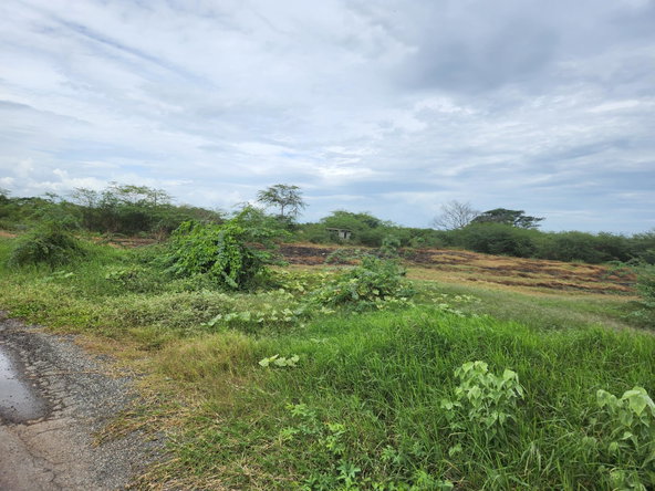 Fifth image of Lot 62 Bushy Park in Bushy Park, St. Catherine, Jamaica - property is For Sale
