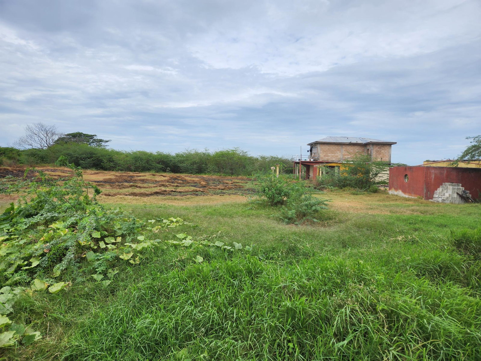 Sixth image of Lot 62 Bushy Park in Bushy Park, St. Catherine, Jamaica - property is For Sale