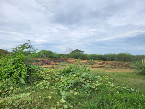 Seventh image of Lot 62 Bushy Park in Bushy Park, St. Catherine, Jamaica - property is For Sale