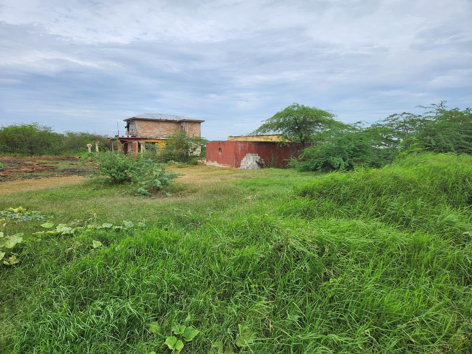 Eighth image of Lot 62 Bushy Park in Bushy Park, St. Catherine, Jamaica - property is For Sale