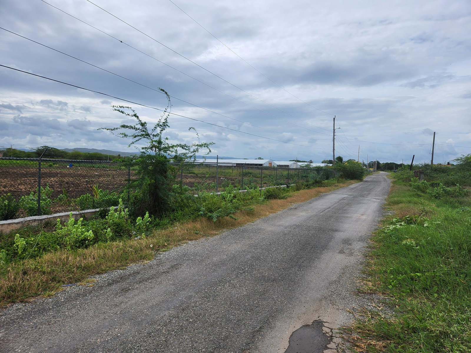 Ninth image of Lot 62 Bushy Park in Bushy Park, St. Catherine, Jamaica - property is For Sale