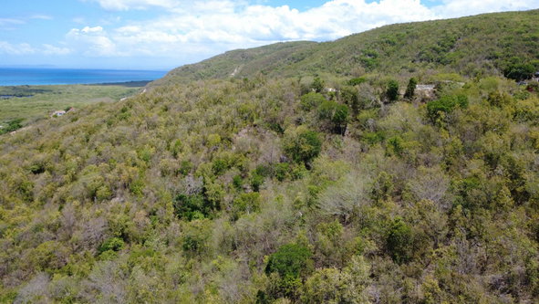 Tenth image of 9 Albion in Albion, St. Thomas, Jamaica - property is For Sale