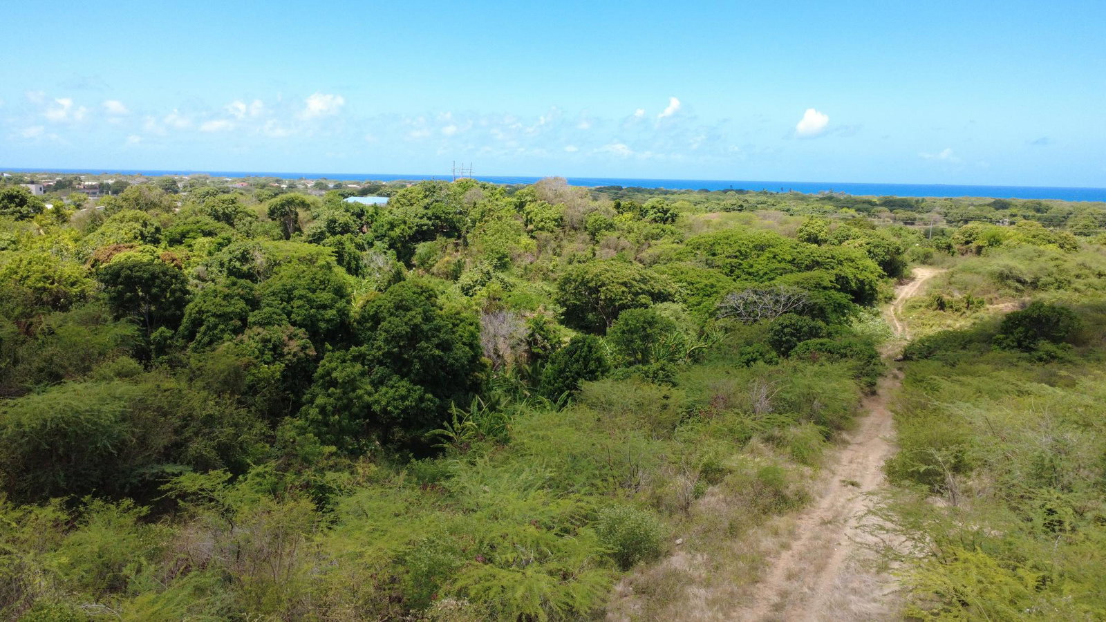 Fourteenth image of 9 Albion in Albion, St. Thomas, Jamaica - property is For Sale