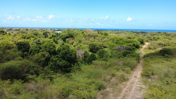 Fourteenth image of 9 Albion in Albion, St. Thomas, Jamaica - property is For Sale