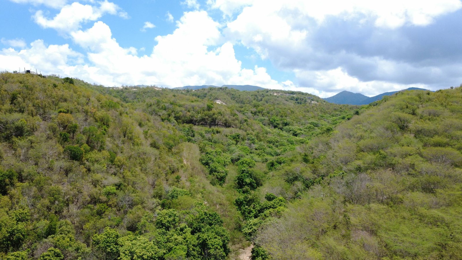 Fifth image of 9 Albion in Albion, St. Thomas, Jamaica - property is For Sale