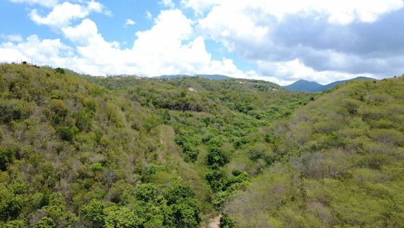 Fifth image of 9 Albion in Albion, St. Thomas, Jamaica - property is For Sale