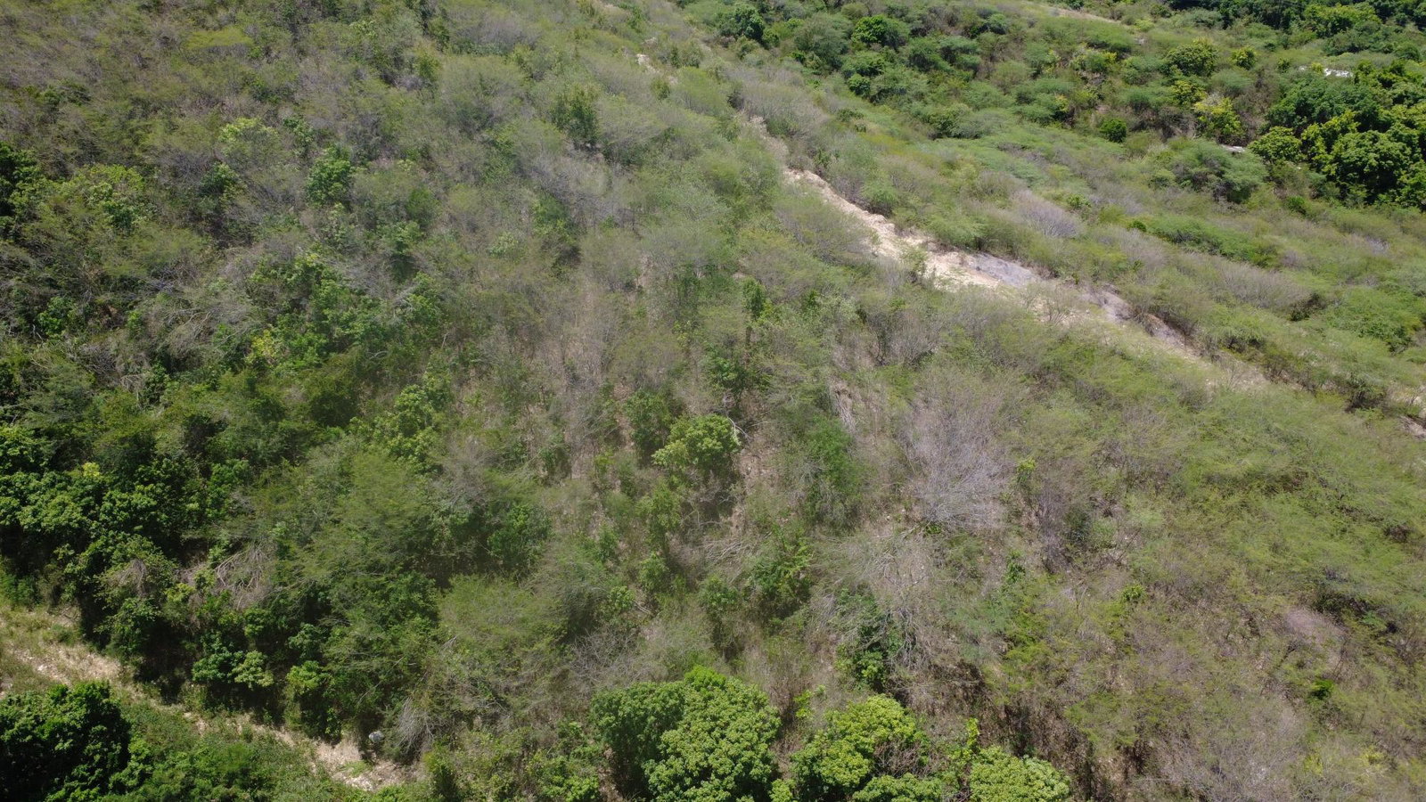 Eighth image of 9 Albion in Albion, St. Thomas, Jamaica - property is For Sale