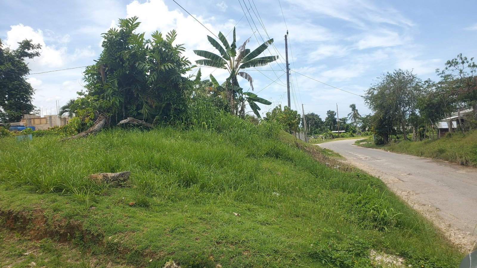 Third image of 56 Barham, Westmoreland in Barham, Westmoreland, Jamaica - property is For Sale