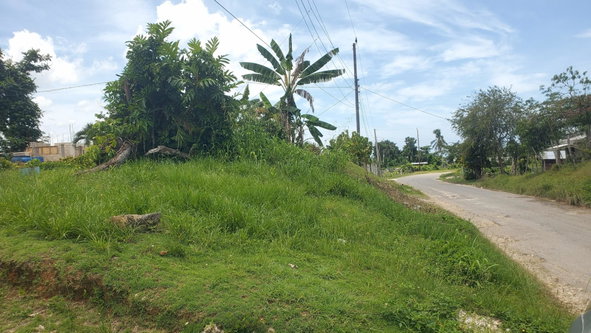 Third image of 56 Barham, Westmoreland in Barham, Westmoreland, Jamaica - property is For Sale