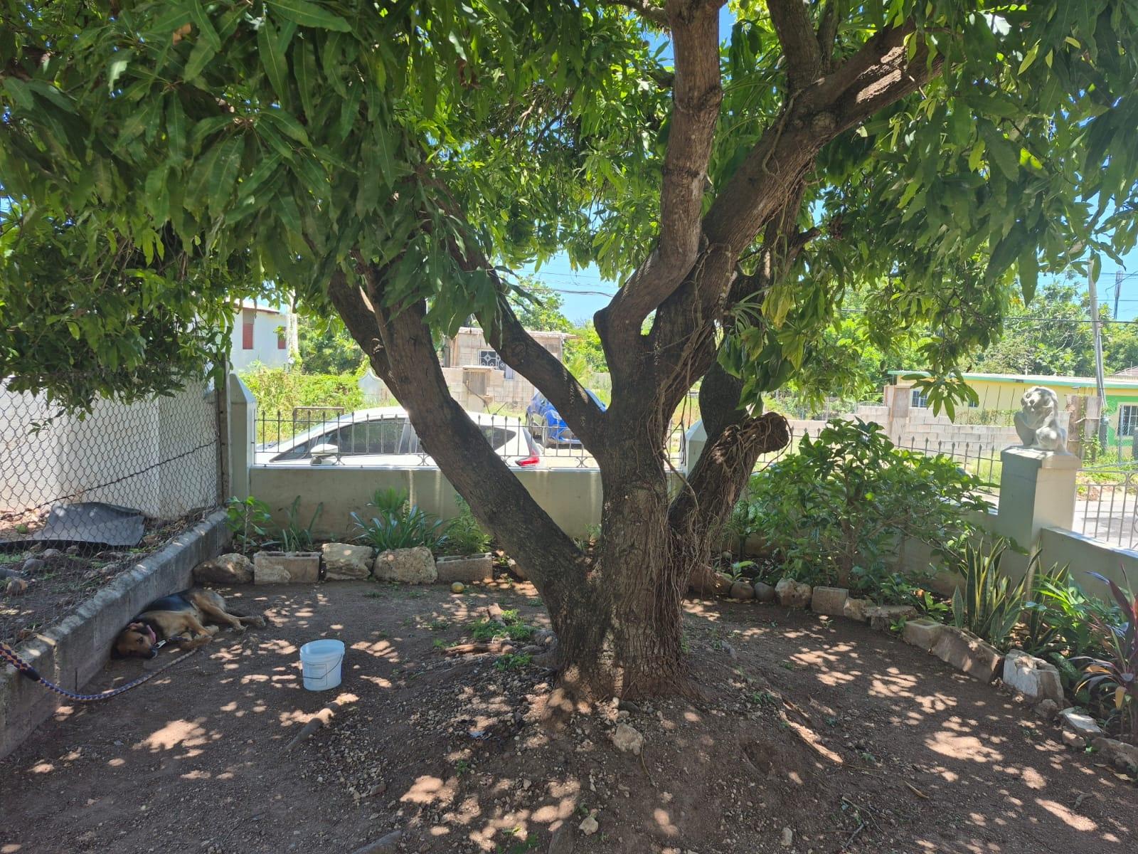 Fourteenth image of 93 Marlie Mount in Old Harbour, St. Catherine, Jamaica - property is For Sale
