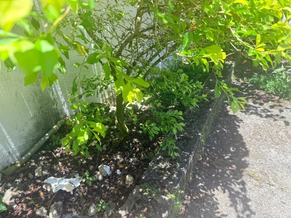 Eighth image of 2 Mcpherson Drive in Seaforth, St. Thomas, Jamaica - property is For Sale