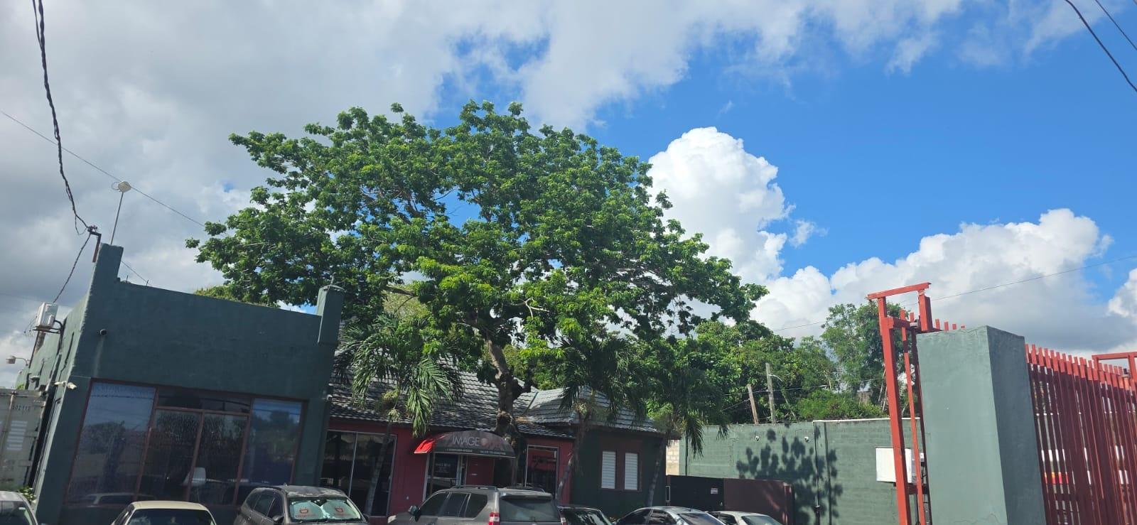 Sixth image of 4 Dunrobin Avenue in Kingston 10, St. Andrew, Jamaica - property is For Sale
