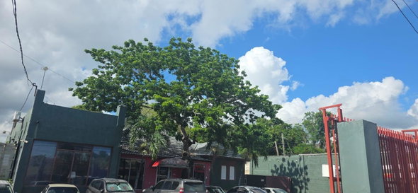 Sixth image of 4 Dunrobin Avenue in Kingston 10, St. Andrew, Jamaica - property is For Sale