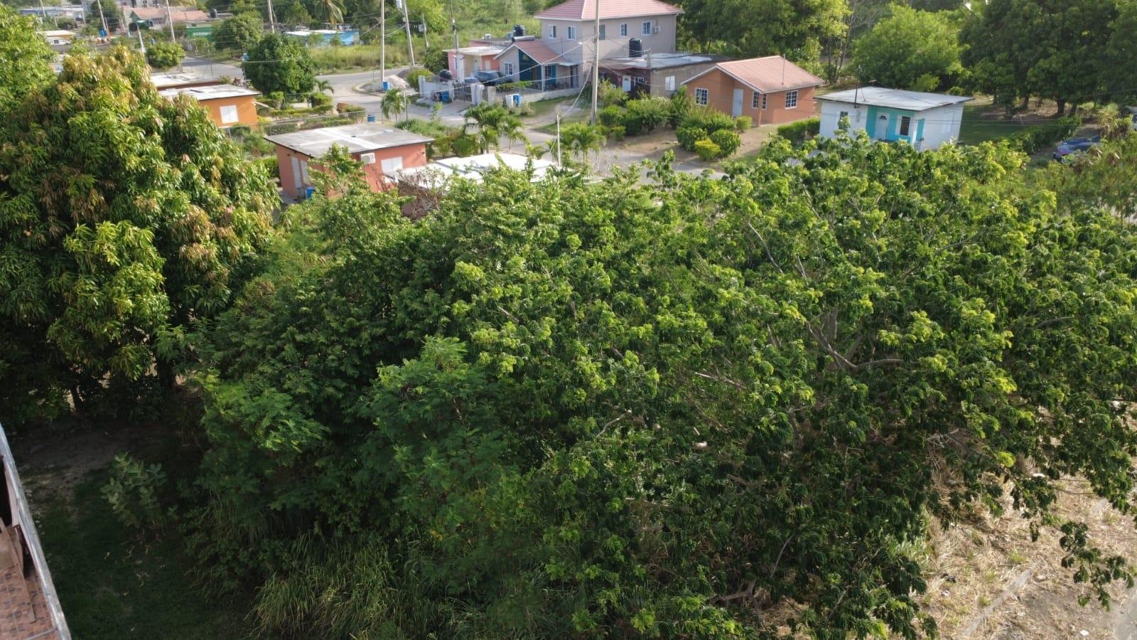 Fifth image of 93 Chedwin Gardens in Chedwin Park, St. Catherine, Jamaica - property is For Sale