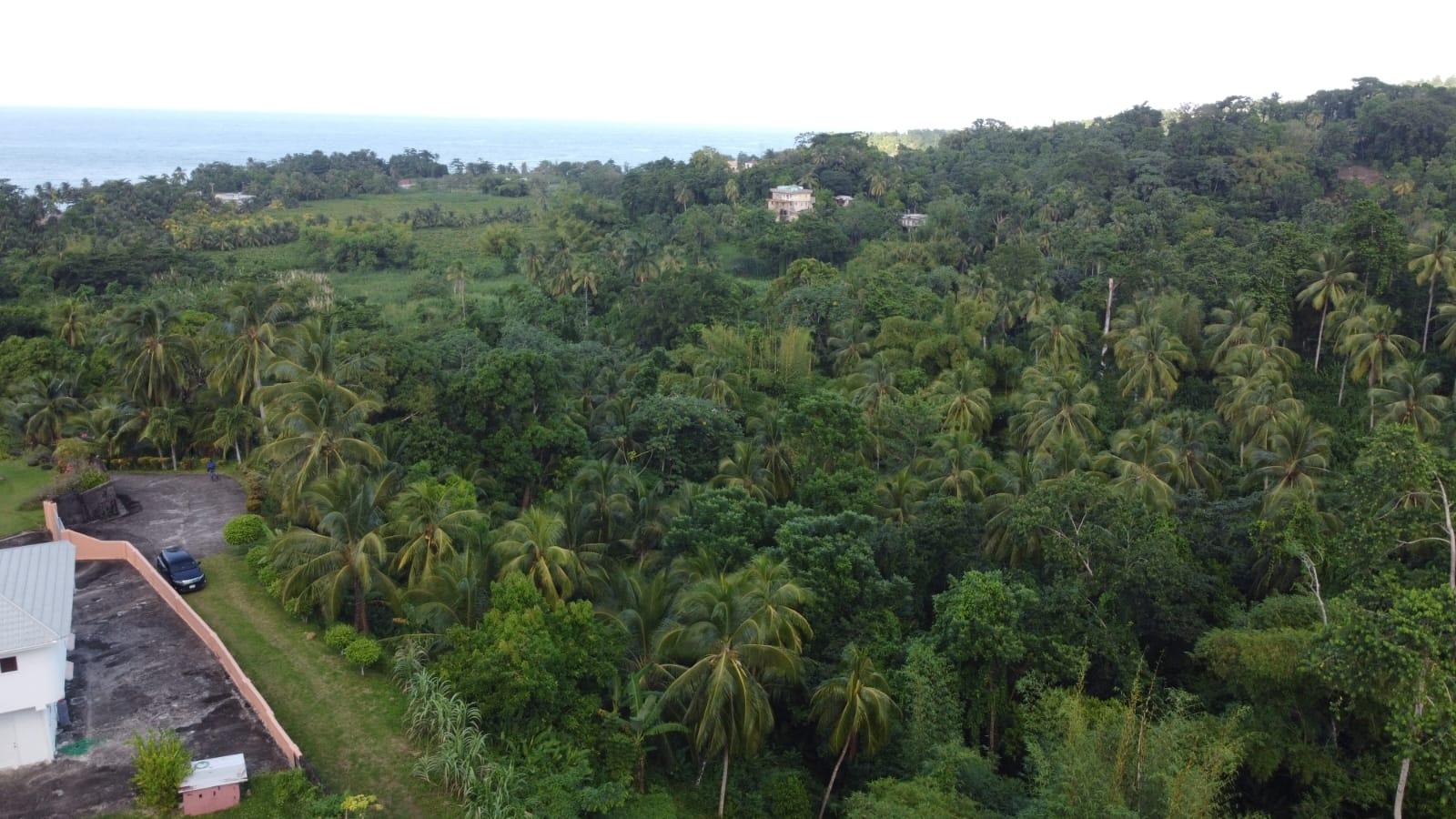 Twenty-Ninth image of St. Margret's Bay in St. Margaret's Bay, Portland, Jamaica - property is For Sale