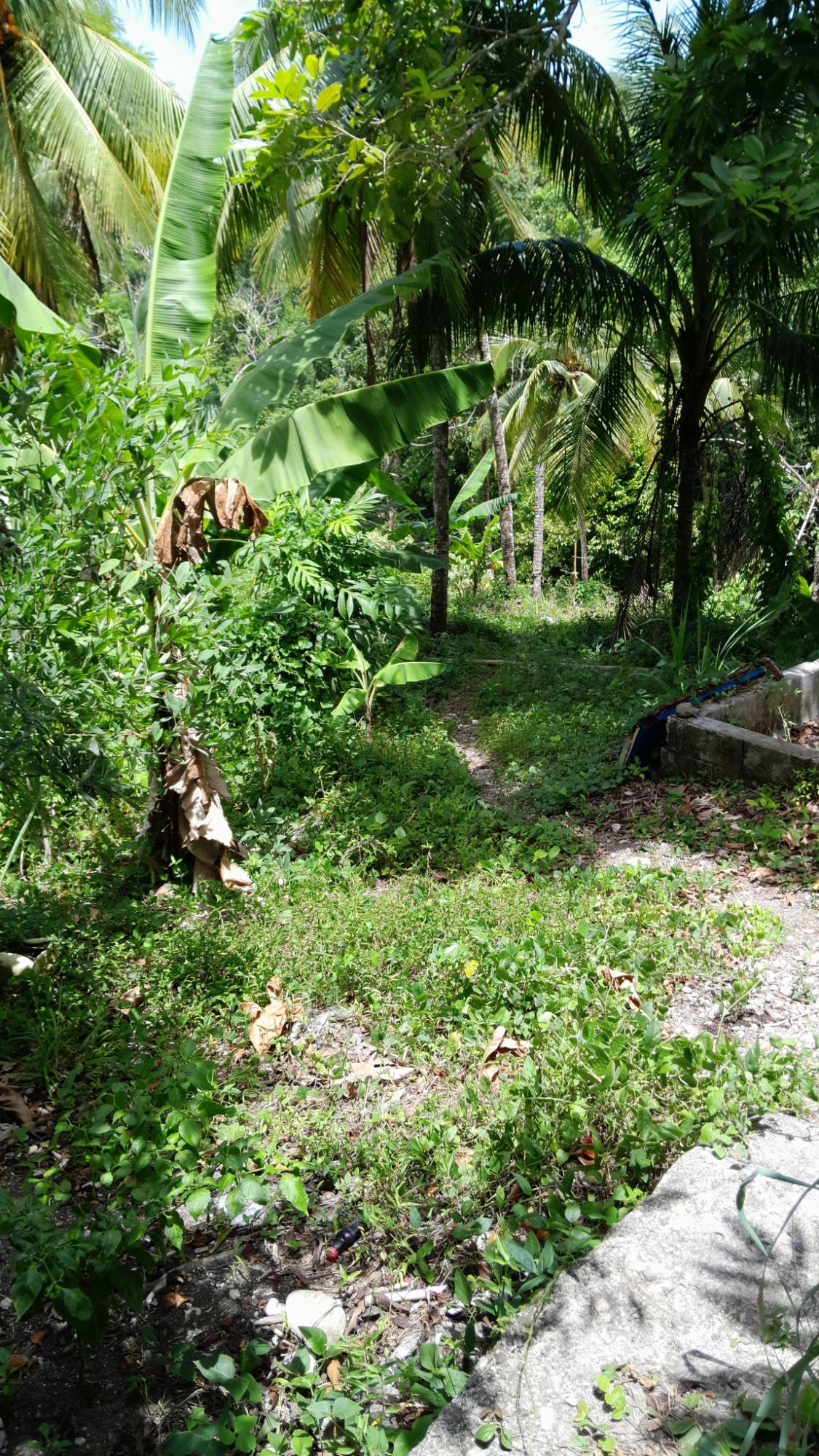 Third image of 7 Crescent Hill, Crescent e in Free Hill, St. Mary, Jamaica - property is For Sale