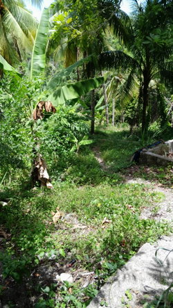 Third image of 7 Crescent Hill, Crescent e in Free Hill, St. Mary, Jamaica - property is For Sale