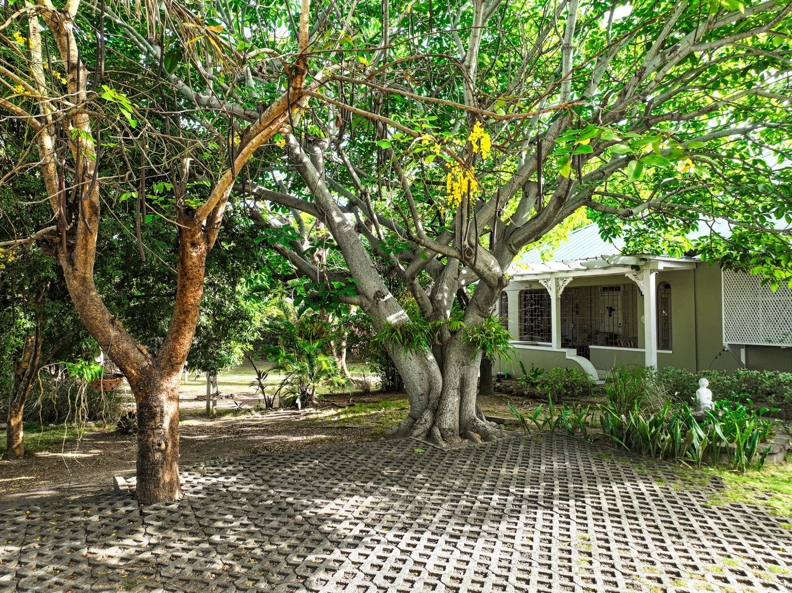 Second image of 1b Sandhurst Avenue, Kingsto in Kingston 6, St. Andrew, Jamaica - property is For Sale