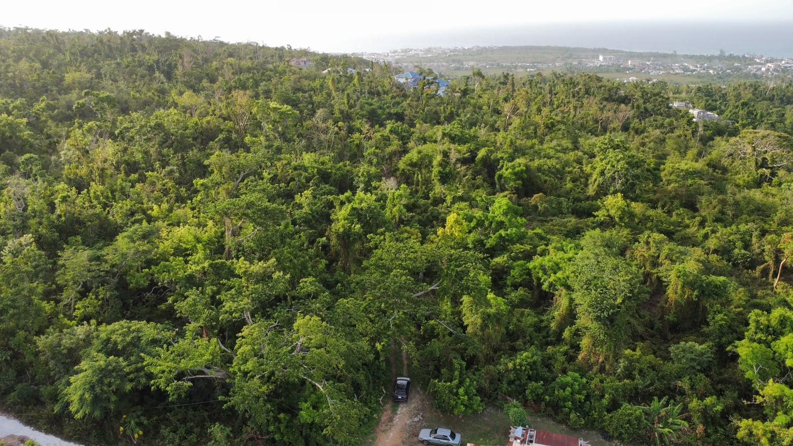 Third image of Lot 2 Wellington Park, ru in Hampstead, St. Ann, Jamaica - property is For Sale