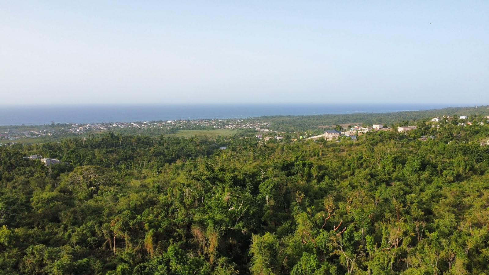 Fifth image of Lot 2 Wellington Park, ru in Hampstead, St. Ann, Jamaica - property is For Sale