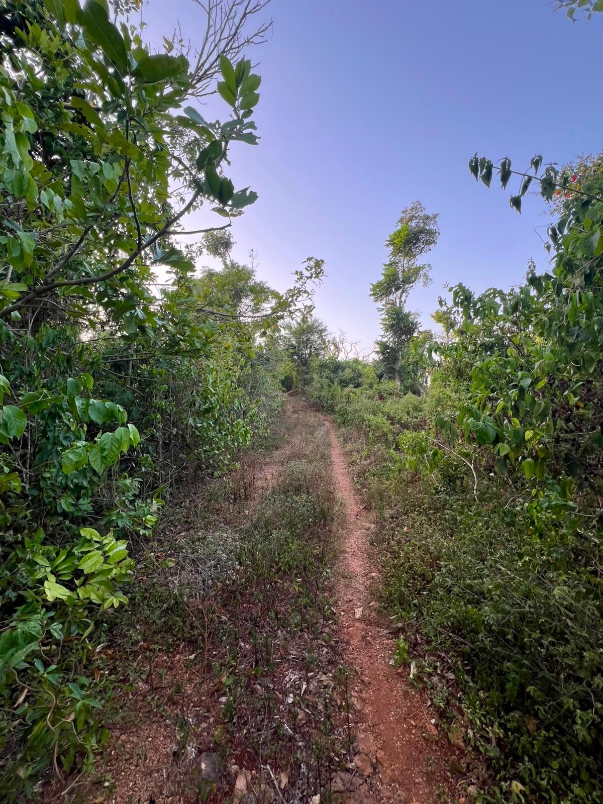 Sixth image of Lot 2 Wellington Park, ru in Hampstead, St. Ann, Jamaica - property is For Sale