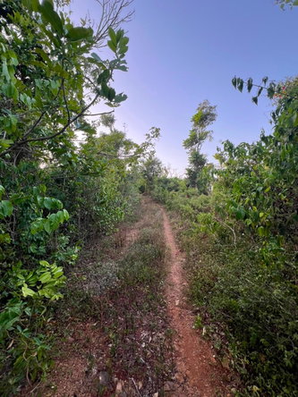 Sixth image of Lot 2 Wellington Park, ru in Hampstead, St. Ann, Jamaica - property is For Sale