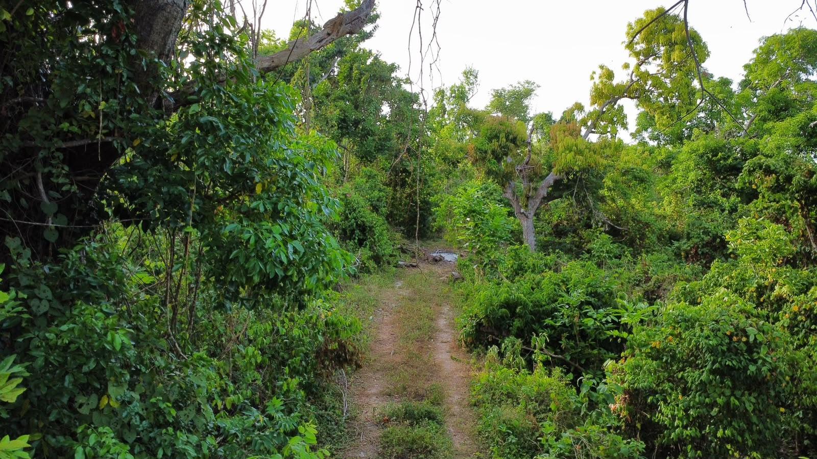 Seventh image of Lot 2 Wellington Park, ru in Hampstead, St. Ann, Jamaica - property is For Sale