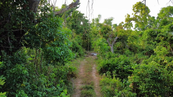 Seventh image of Lot 2 Wellington Park, ru in Hampstead, St. Ann, Jamaica - property is For Sale