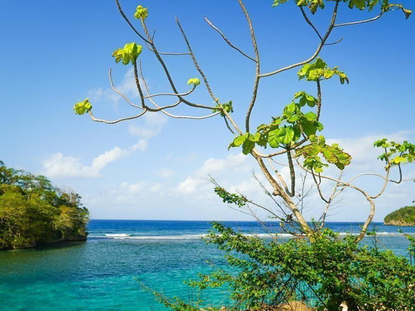 Seventh image of 41 San San in SAN SAN, Portland, Jamaica - property is For Sale