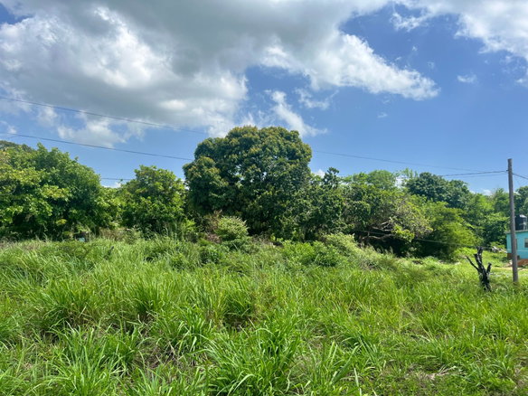 First image of 44b Palmetto Pen in Palmetto Pen, Clarendon, Jamaica - property is For Sale