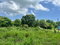 First image of 44b Palmetto Pen in Palmetto Pen, Clarendon, Jamaica - property is For Sale