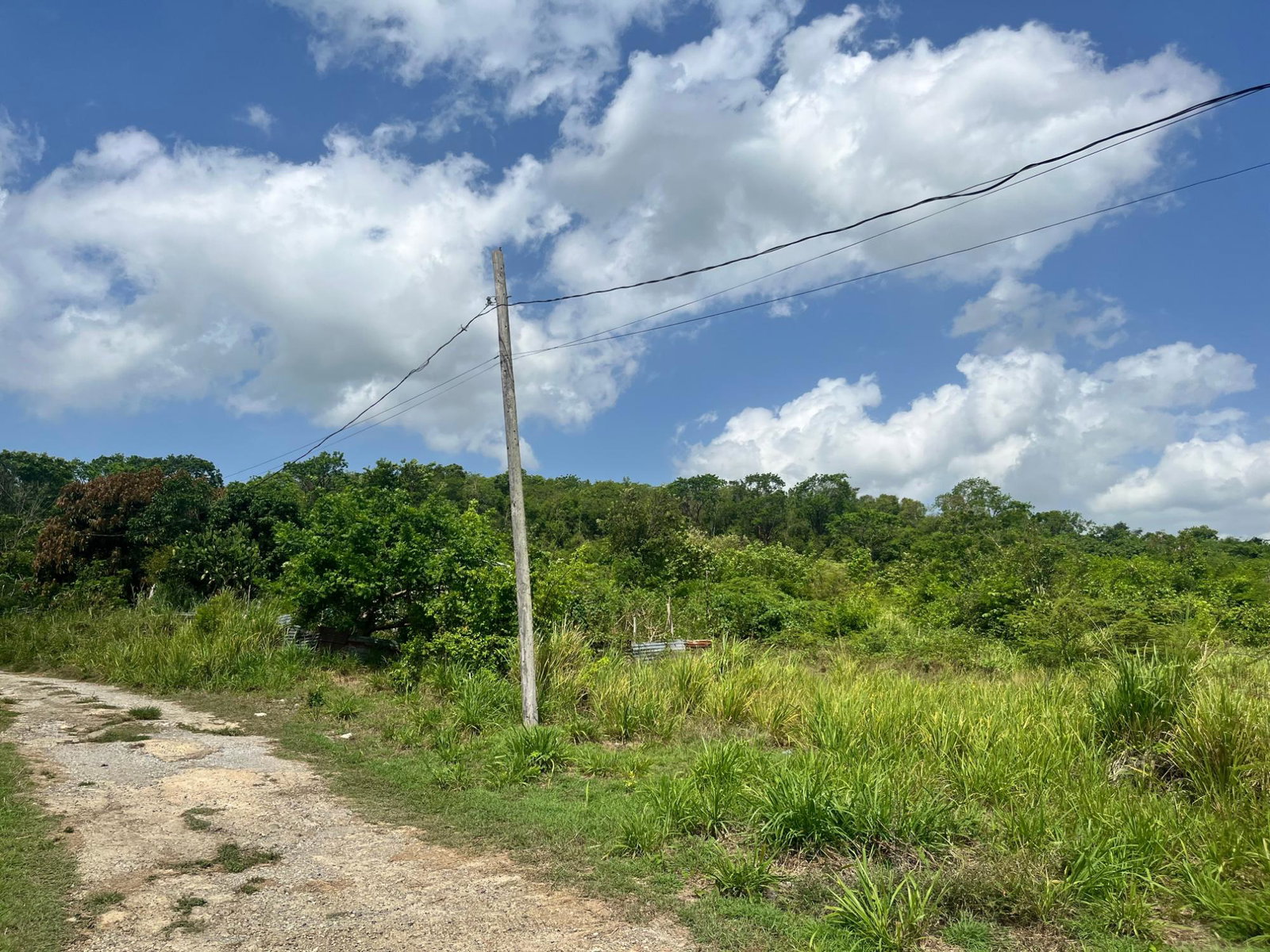 Third image of 44b Palmetto Pen in Palmetto Pen, Clarendon, Jamaica - property is For Sale