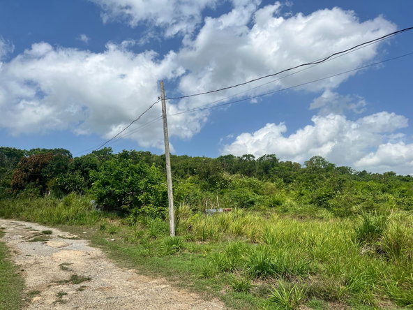 Third image of 44b Palmetto Pen in Palmetto Pen, Clarendon, Jamaica - property is For Sale