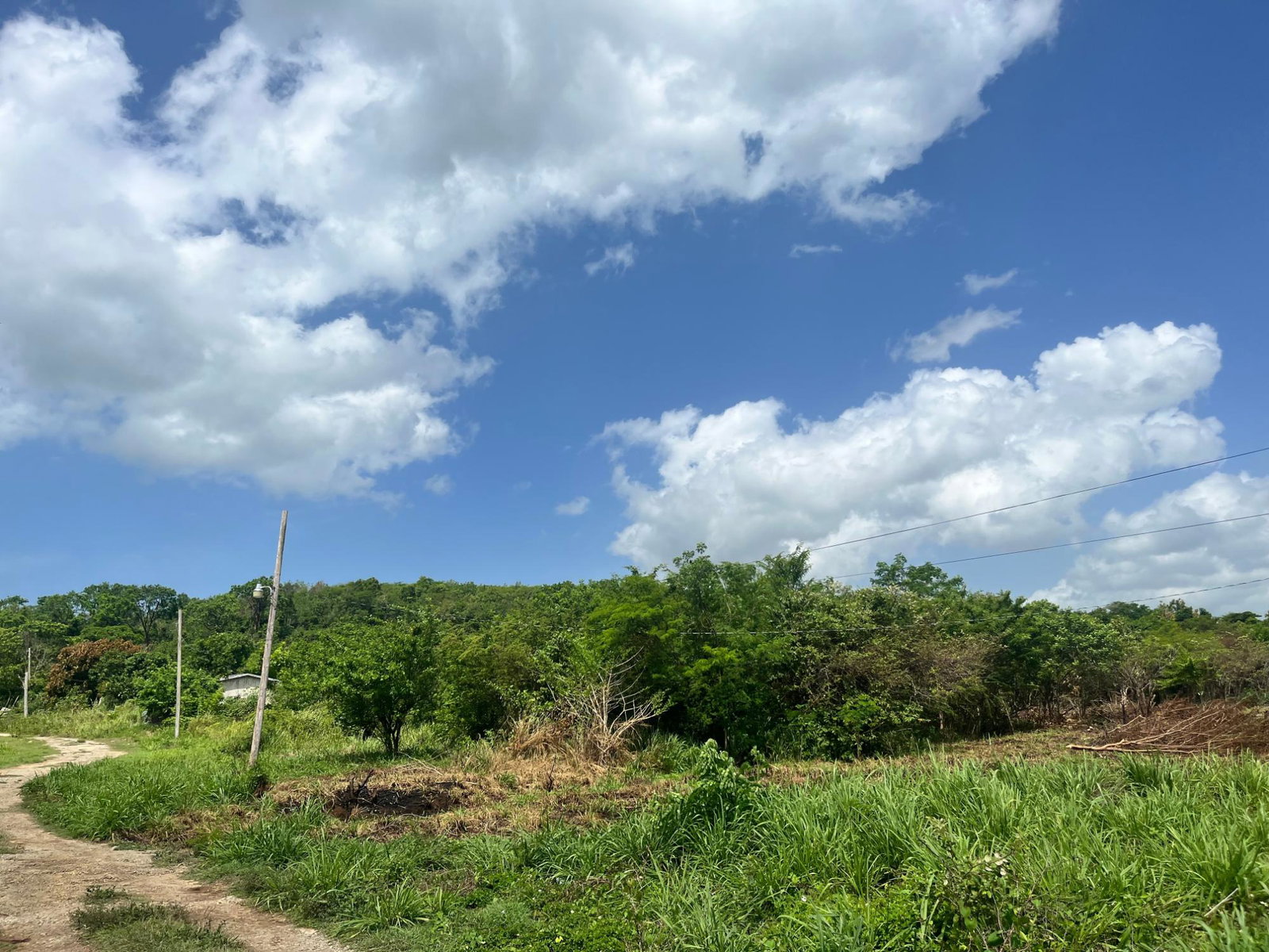 Fourth image of 44b Palmetto Pen in Palmetto Pen, Clarendon, Jamaica - property is For Sale