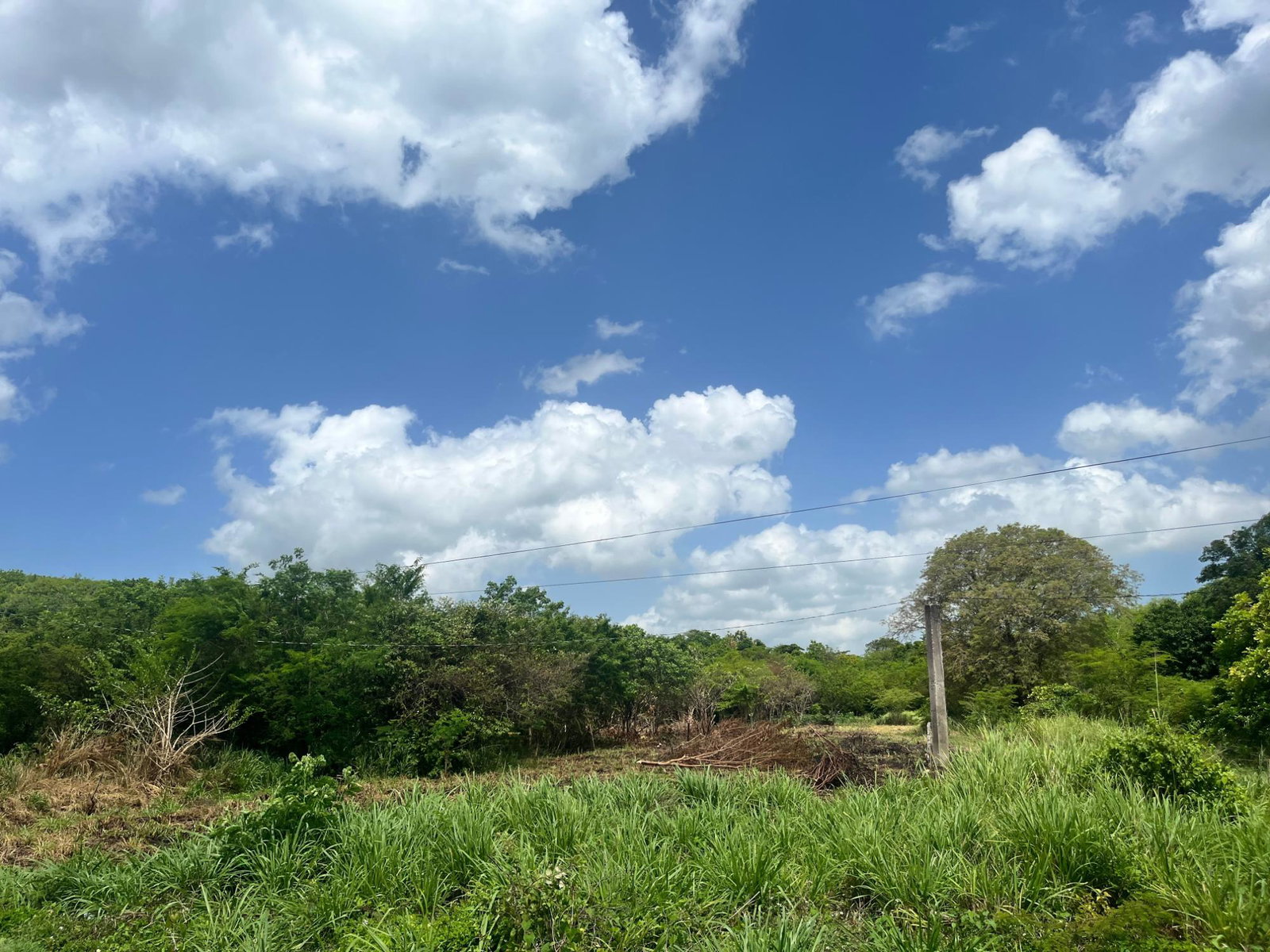 Fifth image of 44b Palmetto Pen in Palmetto Pen, Clarendon, Jamaica - property is For Sale