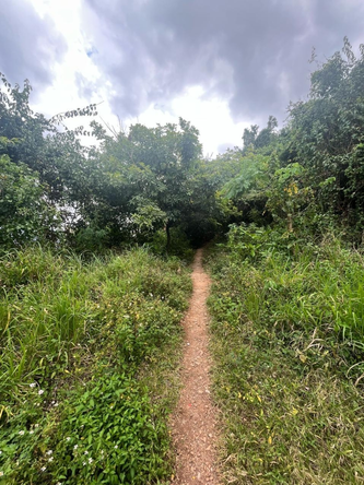 Fifth image of 189 Micheal Terrace in Red Hills, St. Andrew, Jamaica - property is For Sale