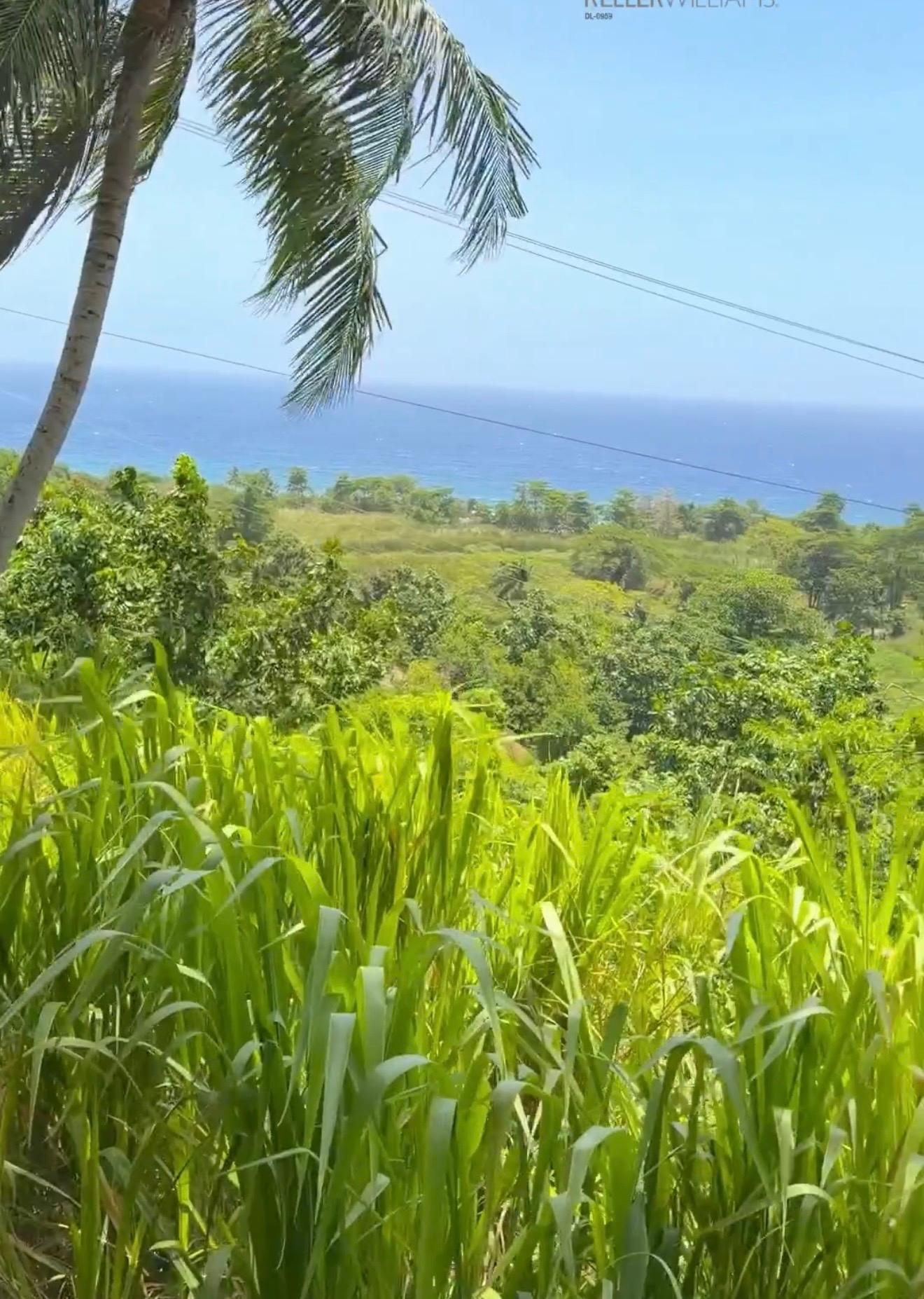 Second image of 2 Caenwood in Caenwood, Portland, Jamaica - property is For Sale