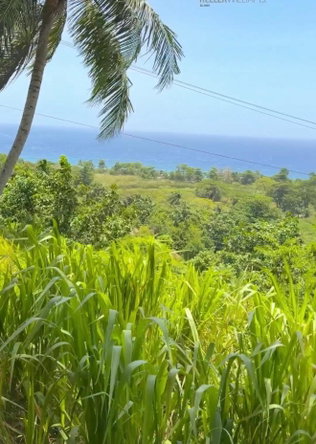 Second image of 2 Caenwood in Caenwood, Portland, Jamaica - property is For Sale