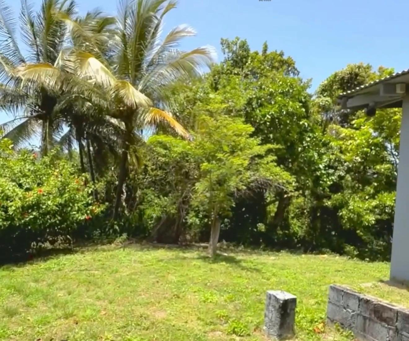 Third image of 2 Caenwood in Caenwood, Portland, Jamaica - property is For Sale