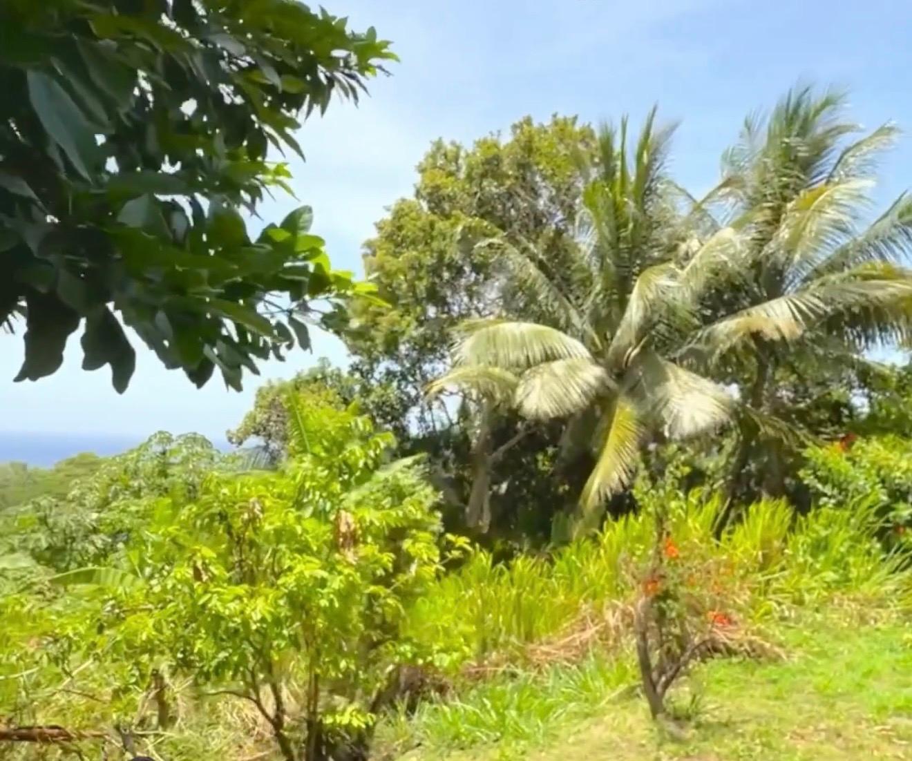 Fifth image of 2 Caenwood in Caenwood, Portland, Jamaica - property is For Sale