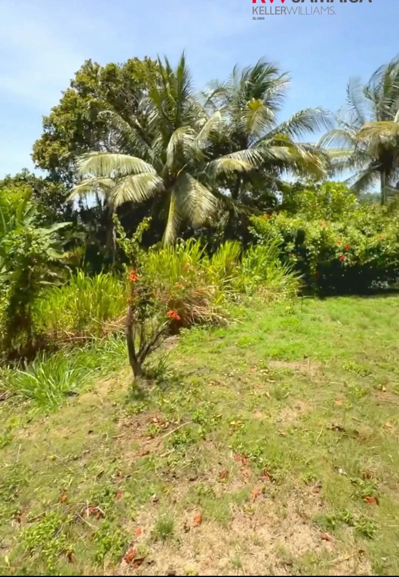 Seventh image of 2 Caenwood in Caenwood, Portland, Jamaica - property is For Sale
