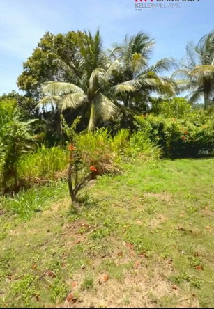 Seventh image of 2 Caenwood in Caenwood, Portland, Jamaica - property is For Sale
