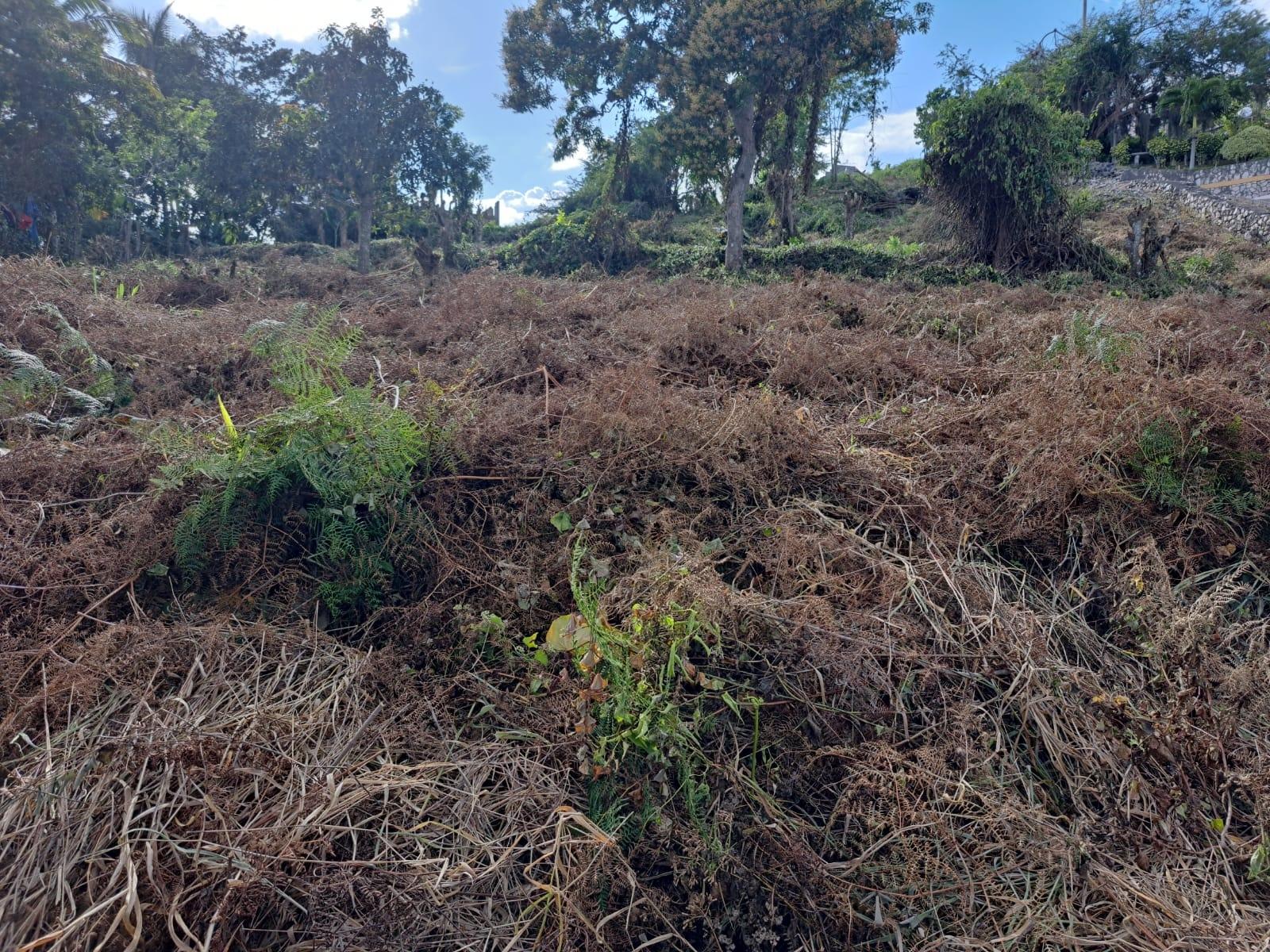 Fifth image of 270 Port View Circle, 1b Ingl in Mandeville, Manchester, Jamaica - property is For Sale