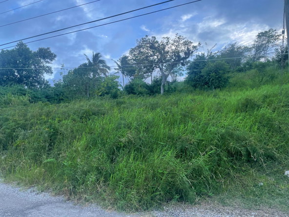 Sixth image of 270 Port View Circle, 1b Ingl in Mandeville, Manchester, Jamaica - property is For Sale