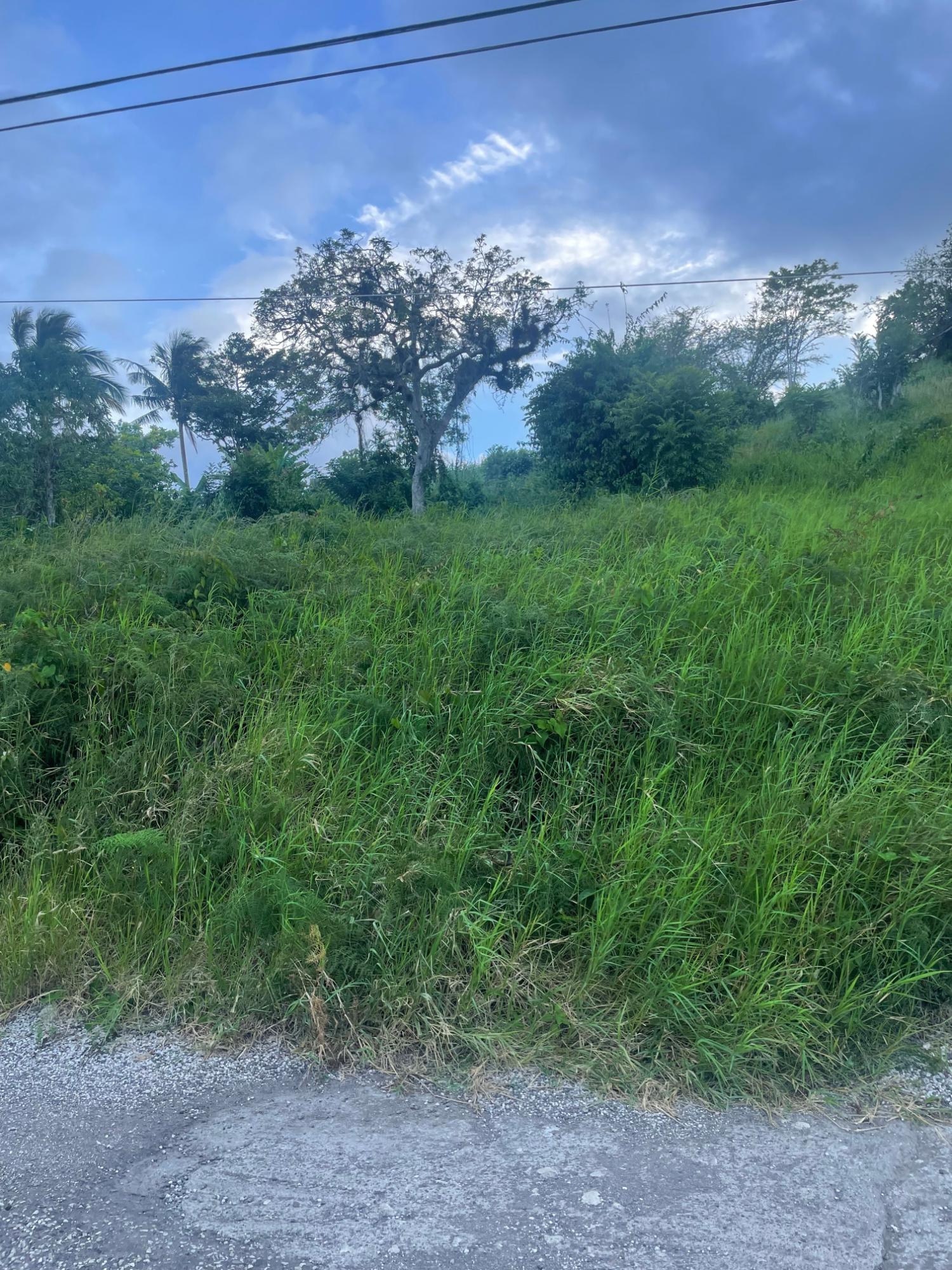 Seventh image of 270 Port View Circle, 1b Ingl in Mandeville, Manchester, Jamaica - property is For Sale
