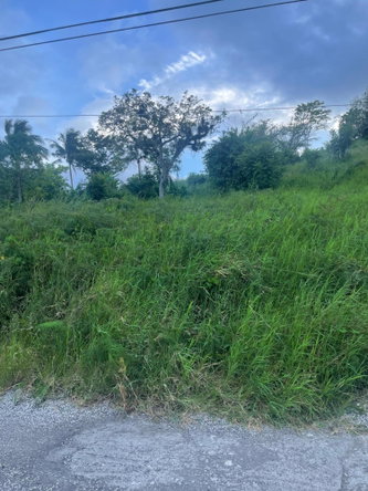 Seventh image of 270 Port View Circle, 1b Ingl in Mandeville, Manchester, Jamaica - property is For Sale